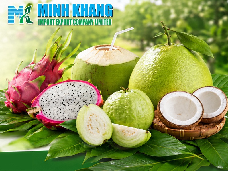 MINH KHANG IMPORT EXPORT COMPANY LIMITED