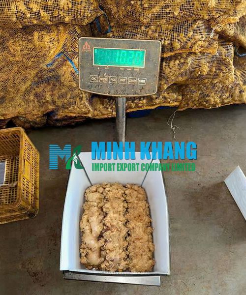 MINH KHANG IMPORT EXPORT COMPANY LIMITED