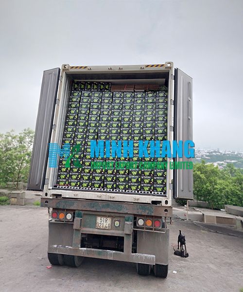 MINH KHANG IMPORT EXPORT COMPANY LIMITED